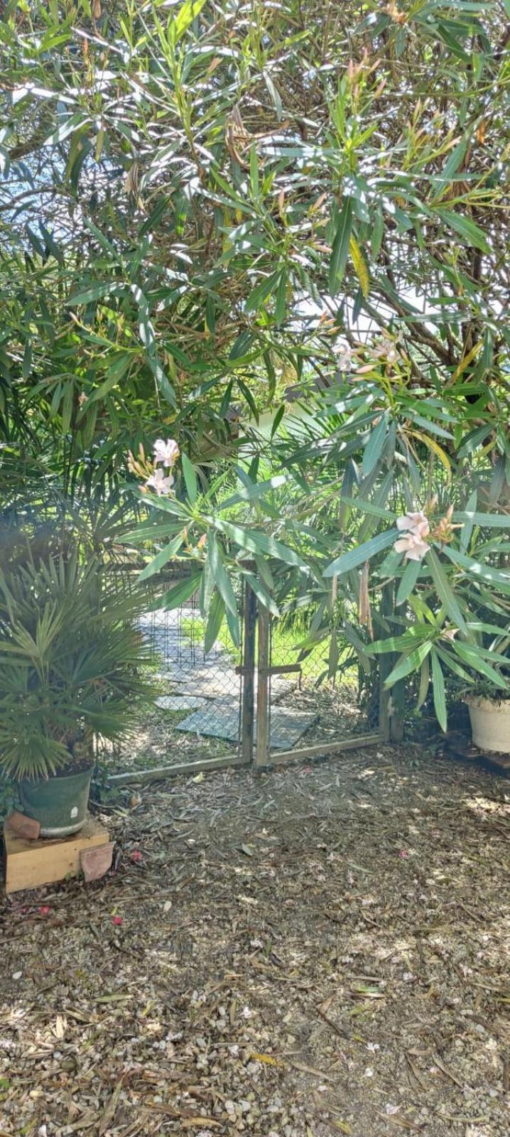 Villaluigia - Oasi Le Palme Padova Kültér fotó