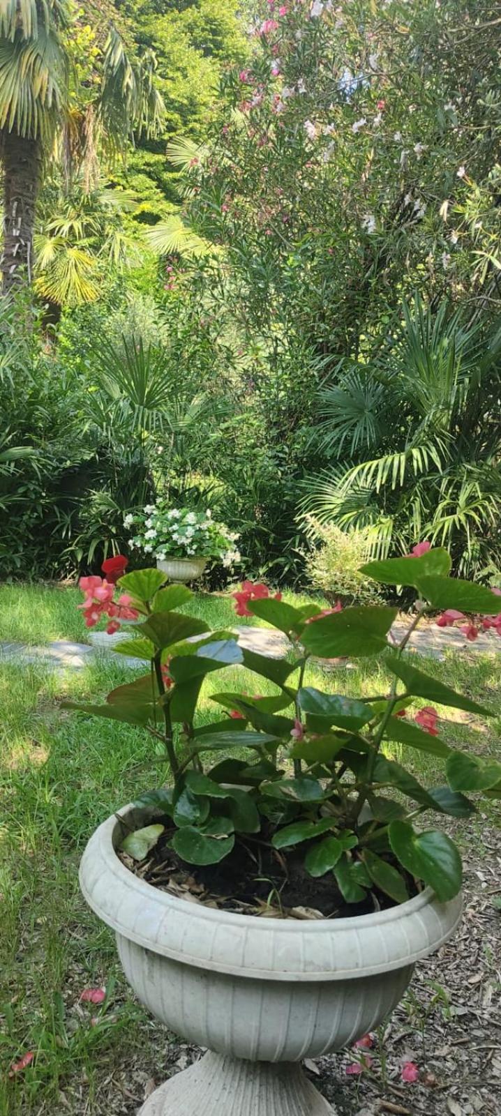 Villaluigia - Oasi Le Palme Padova Kültér fotó