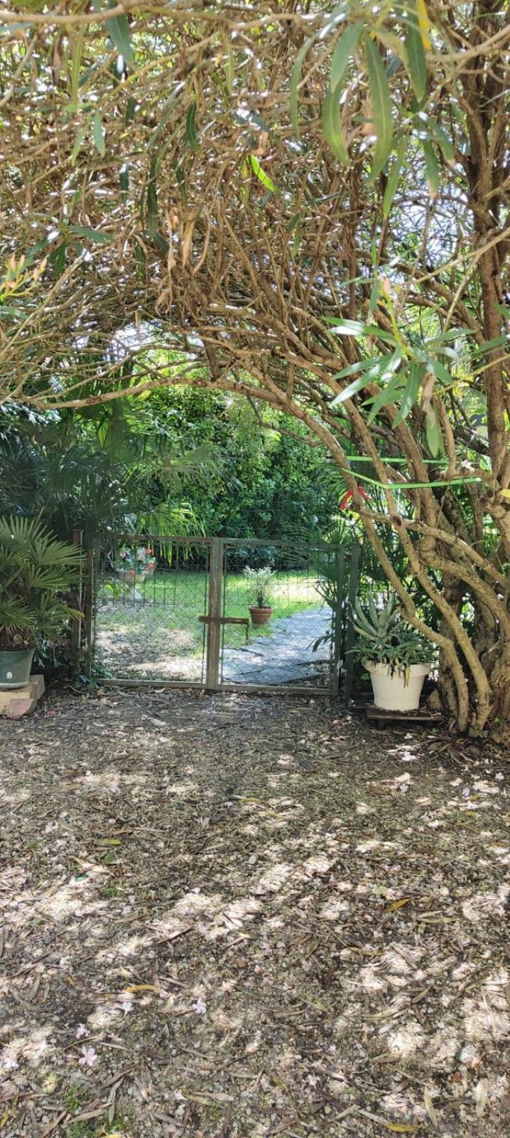 Villaluigia - Oasi Le Palme Padova Kültér fotó