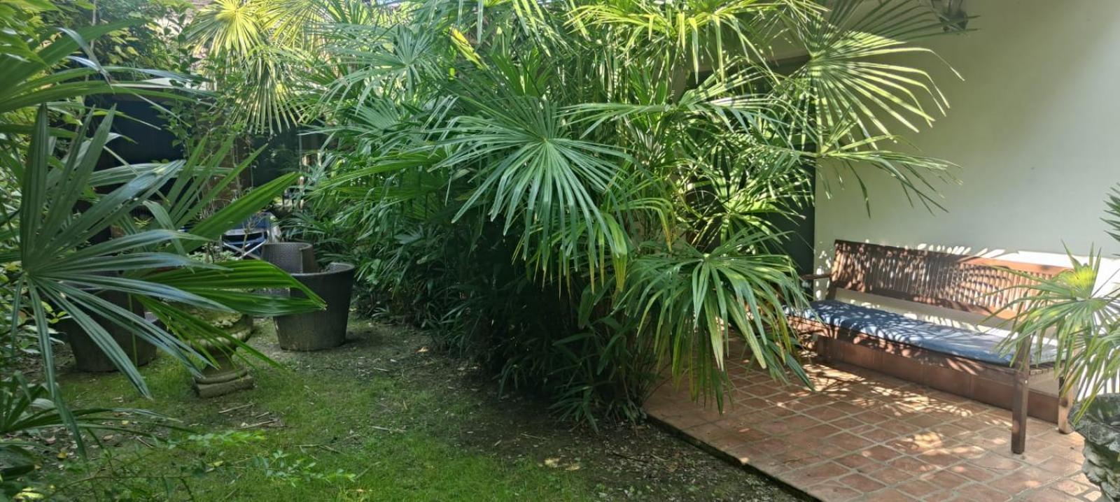 Villaluigia - Oasi Le Palme Padova Kültér fotó