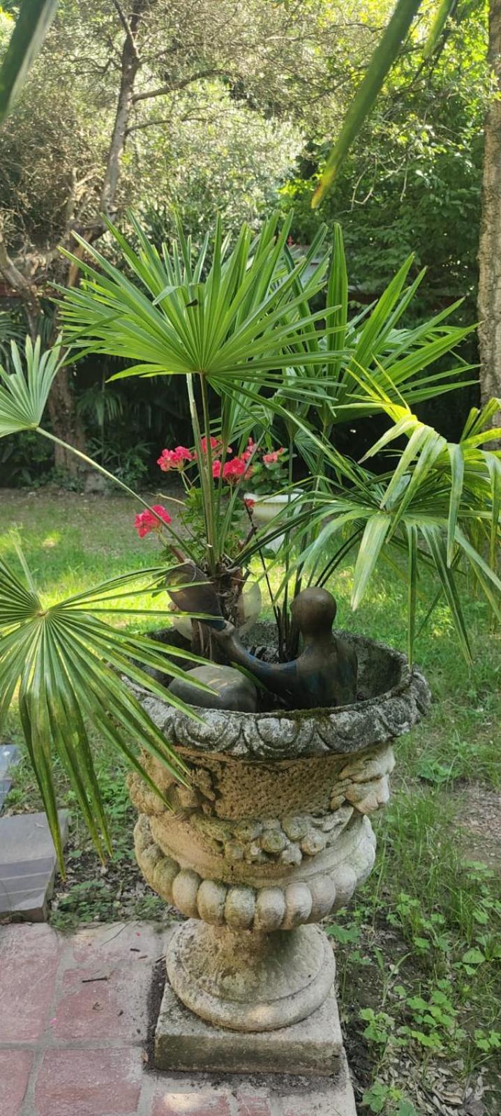 Villaluigia - Oasi Le Palme Padova Kültér fotó