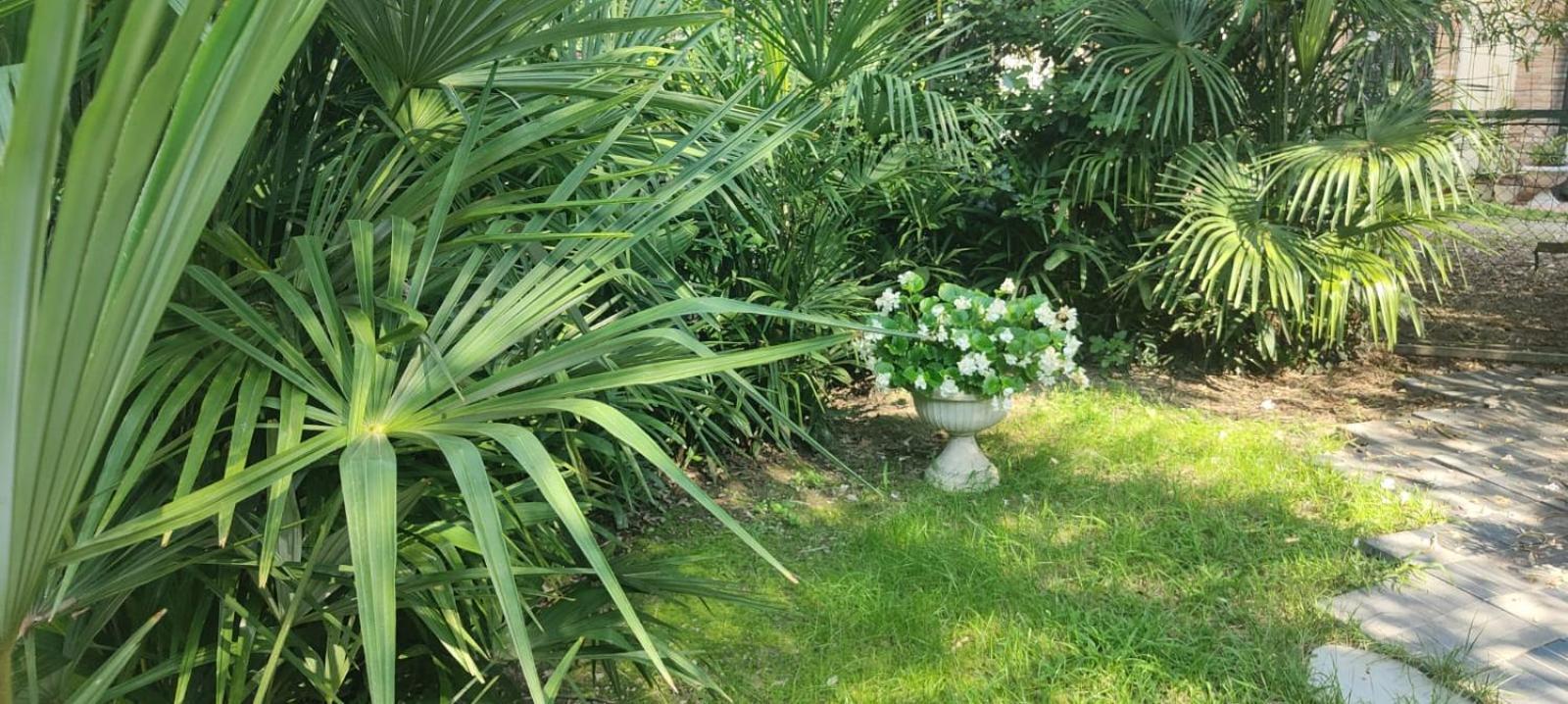Villaluigia - Oasi Le Palme Padova Kültér fotó
